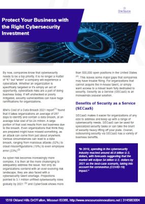protectcyberinv